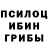 Галлюциногенные грибы прущие грибы zeboy90