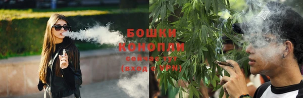 хмурый Инсар