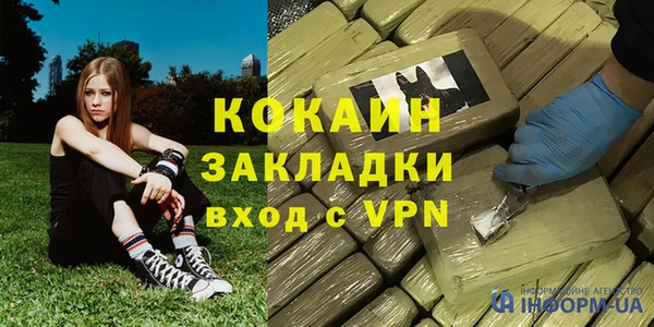 хмурый Инсар