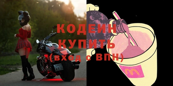 хмурый Инсар