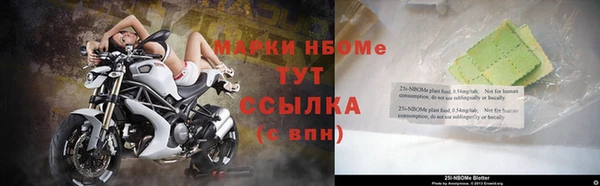2c-b Инта