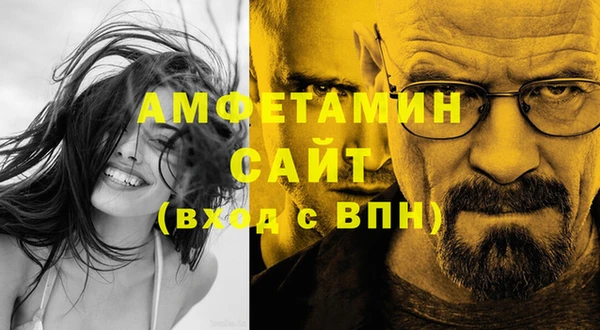 индика Каменка