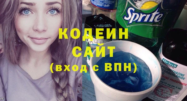 хмурый Инсар