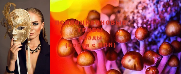 2c-b Инта