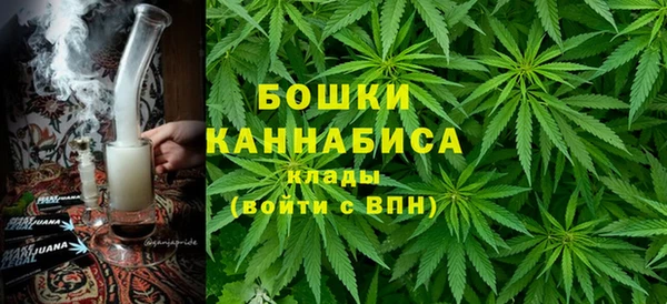 2c-b Инта